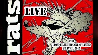 Les RATS Live @CCO - Villeurbanne (France) - 28 avril 2017