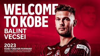 【Welcome to Kobe 】バーリント ヴェーチェイ｜BALINT VECSEI