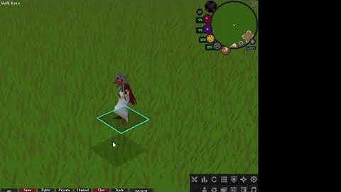 OSRS Weapon Animation Replacer works totally fine!