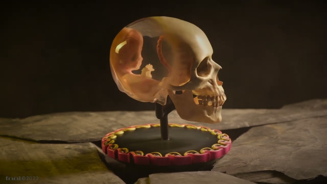 TOOL - Fetus in Skull Life-Size Sculpture - YouTube