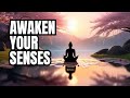Awakening - Meditate & Relax Your Mind and Body With Soothing Meditation Music #meditationmusic