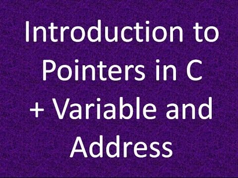 Programming Interview: Introduction to Pointers (variable and address)