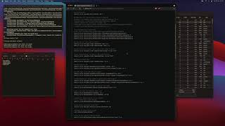 Livestream: Setting up a fresh macOS install for JS/TS development