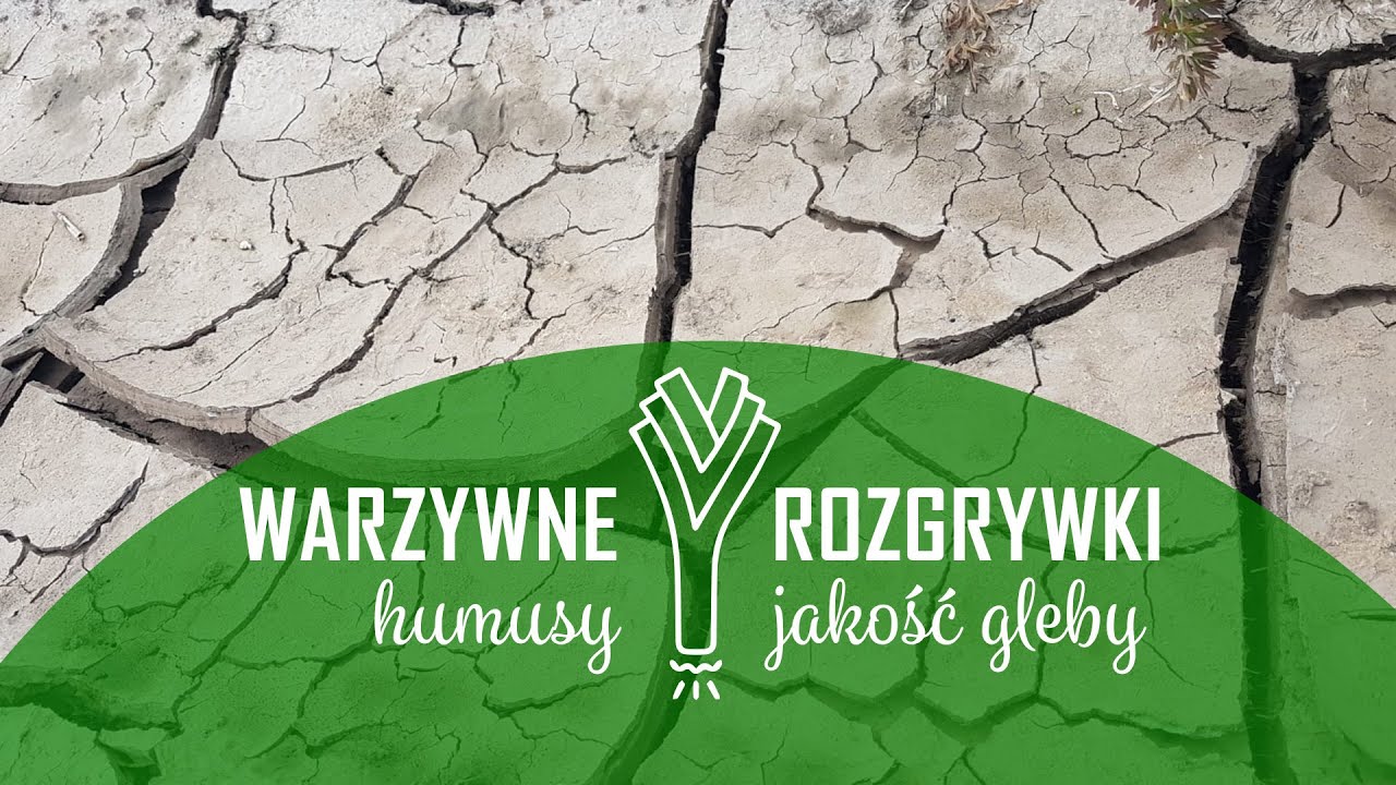 Warzywne rozgrywki #8 Humusy vs jakość gleby - YouTube