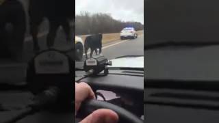 Only in Tennessee