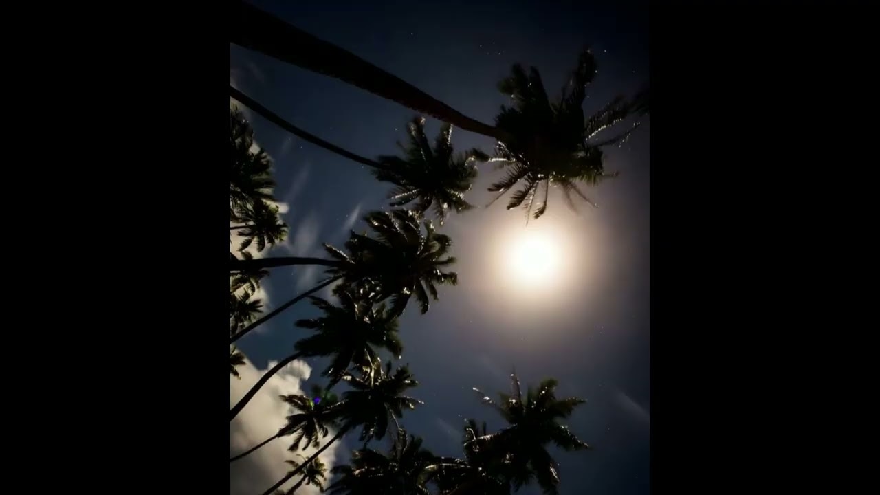 [FREE] southsidesilhouette x untiljapan type beat 