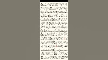 تلاوه خاشعه للشيخ ماهر المعيقلي #فلسطين حره