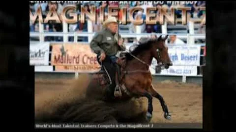 Western States Horse Expo 2010 - Andrew Sprowl Rep...