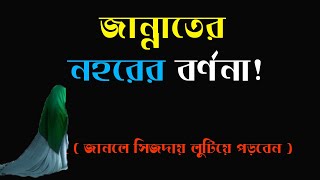 জান্নাতের নহরের বর্ণনা জানলে সিজদায় লুটিয়ে পড়বেন একবার ভিডিওটি দেখুন শুধু 