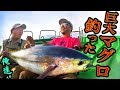 巨大マグロを釣った！秦拓馬☆マグロへの挑戦・完結編