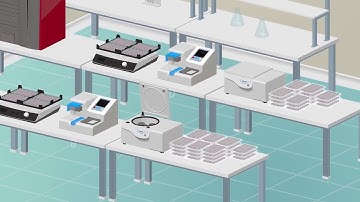 Axiom Propel Workflow Animation