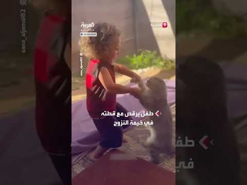 طفل وفرحته بوقف الحرب في غزة: رقص مع قطته في مخيم النزوح