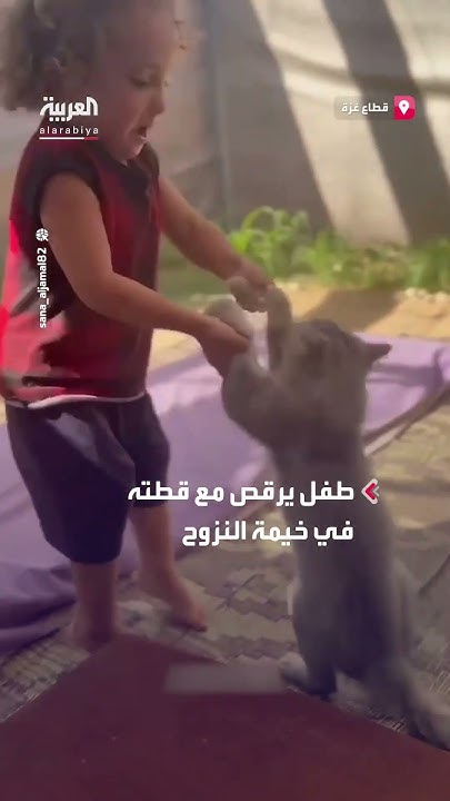            
 - نشر قبل 49 دقيقة