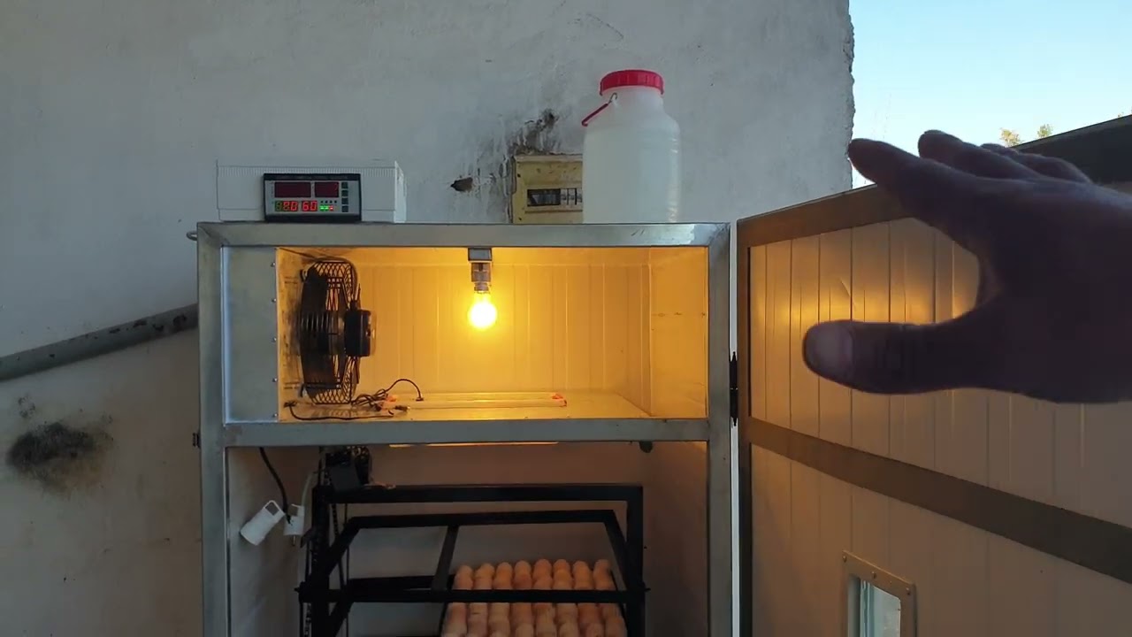 مدينة تمارة توصيل فقاسة الألف بيضة مع جميع الاوازم