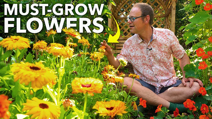 These Magic Flowers Will Repel Pests and Feed Your Plants - DayDayNews