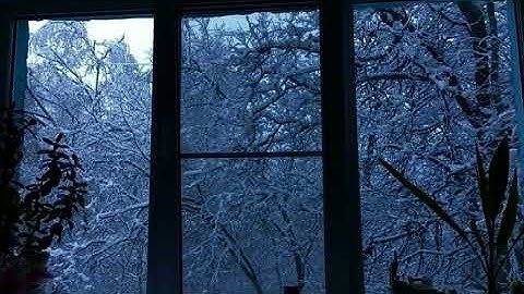 تلاوة القران بدون اي مؤثرات - محمد هشام حسن -  من سورة الفرقان 