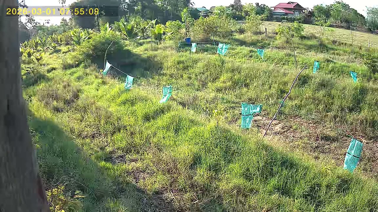 UBox 2026 03 01 074655 3 137