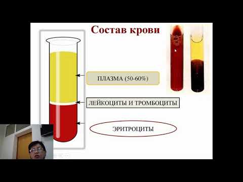 Видео: Количество эритроцитов колеблется?