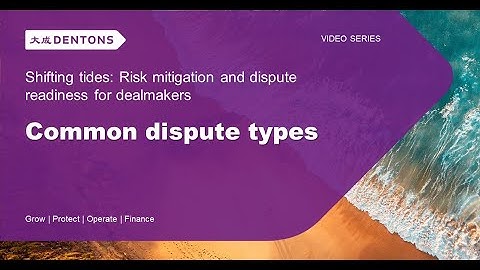 Common dispute types in litigation and cross-border M&A transactions