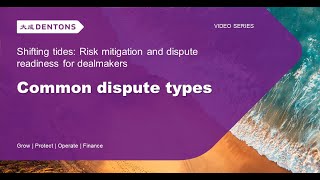 Common dispute types in litigation and cross-border M&A transactions
