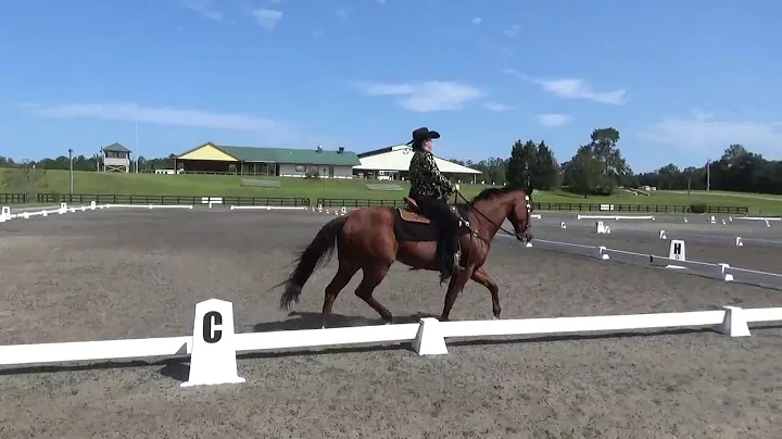 WDAA 2020 World Show Michelle Lightcap and A Cash ...
