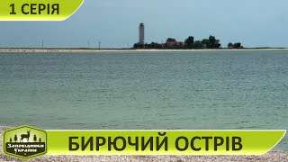 Бирючий острів | Заповідники України 1 Серія | Фауна