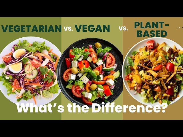 Vegan vs Vegetarian vs Plant-Based: Which Diet Is Actually Healthiest? -  YouTube