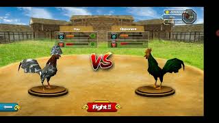 Rooster Fighting 3D Action3