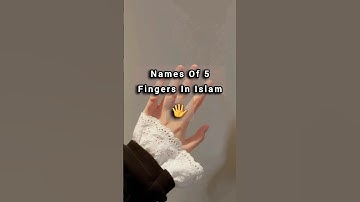 Fingers names in islam 📿☪️ 🕌 #shortsfeed #islam