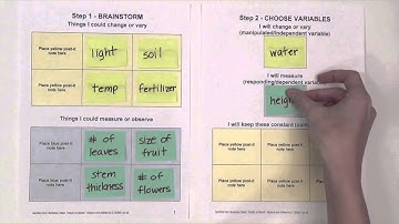 SCWIBLES Inquiry Boards - a guide to doing science