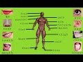 Human Body Parts | Parts of Body Name in English