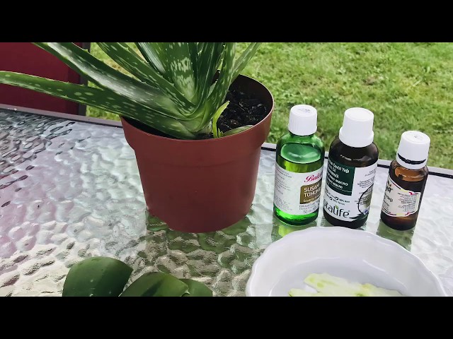 wo kann man aloe vera gel kaufen Aloe Vera Gel Gesicht & Krper