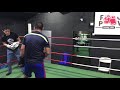 Boxing Sparring BSB