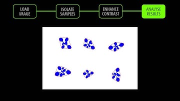 LemnaGrid Phenotyping Software