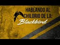 Hablando al chilorio de la italika blackbird 250 shorts tiktok