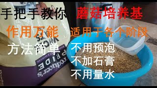 实操演示 蘑菇菌万能培养料 最简单 最实用 A Universal Mushroom Grow Medium, No Presoak, No Gypsum, No Water Measure