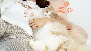 What If I Take a Nap While Hugging My Cat? (ENG SUB)