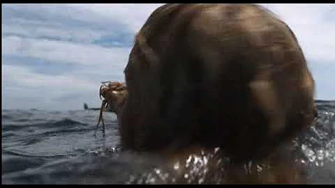 Qual a bola do filme Náufrago?