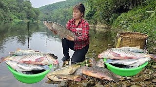 The secret to river fishing using worms: catching giant fish and selling them. Ly Phuc Ca