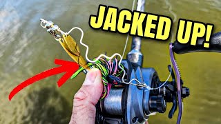 Does This CRAZY Spinnerbait ACTUALLY Work?