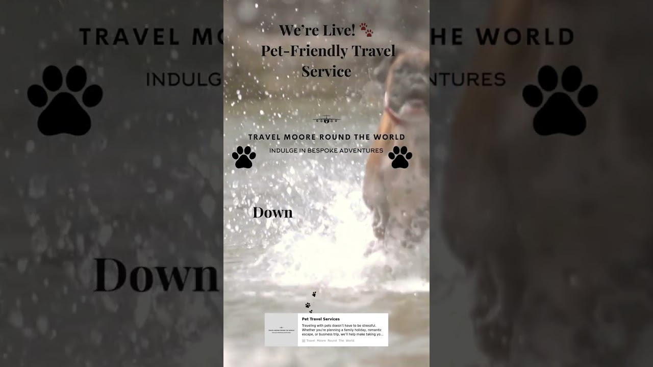 🐾 The Wait is Over: Pet-Friendly Travel Planning is Here! 🐕✈️