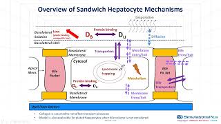 Membrane Plus v3 Release Webinar Membrane Plus v3 Release Webinar