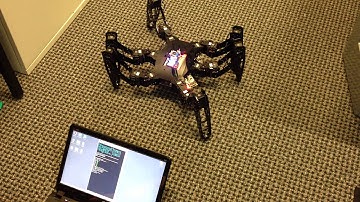 Hexapod robot making its first step