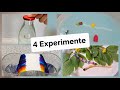Experimente 4 x spannend und zum  Staunen 🥰