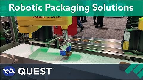 Quest Robotic Packaging Solutions: Direct Food Handling, Case Packing, and Palletizing