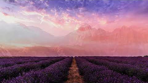 The Interstellar Experience - Piano Cover (Tony Ann) || Spitfire Audio