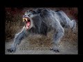 Sound Effects Werewolf An American Werewolf In London