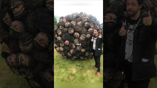 Rare Photos You’ve Never Seen Before [Part 641]
