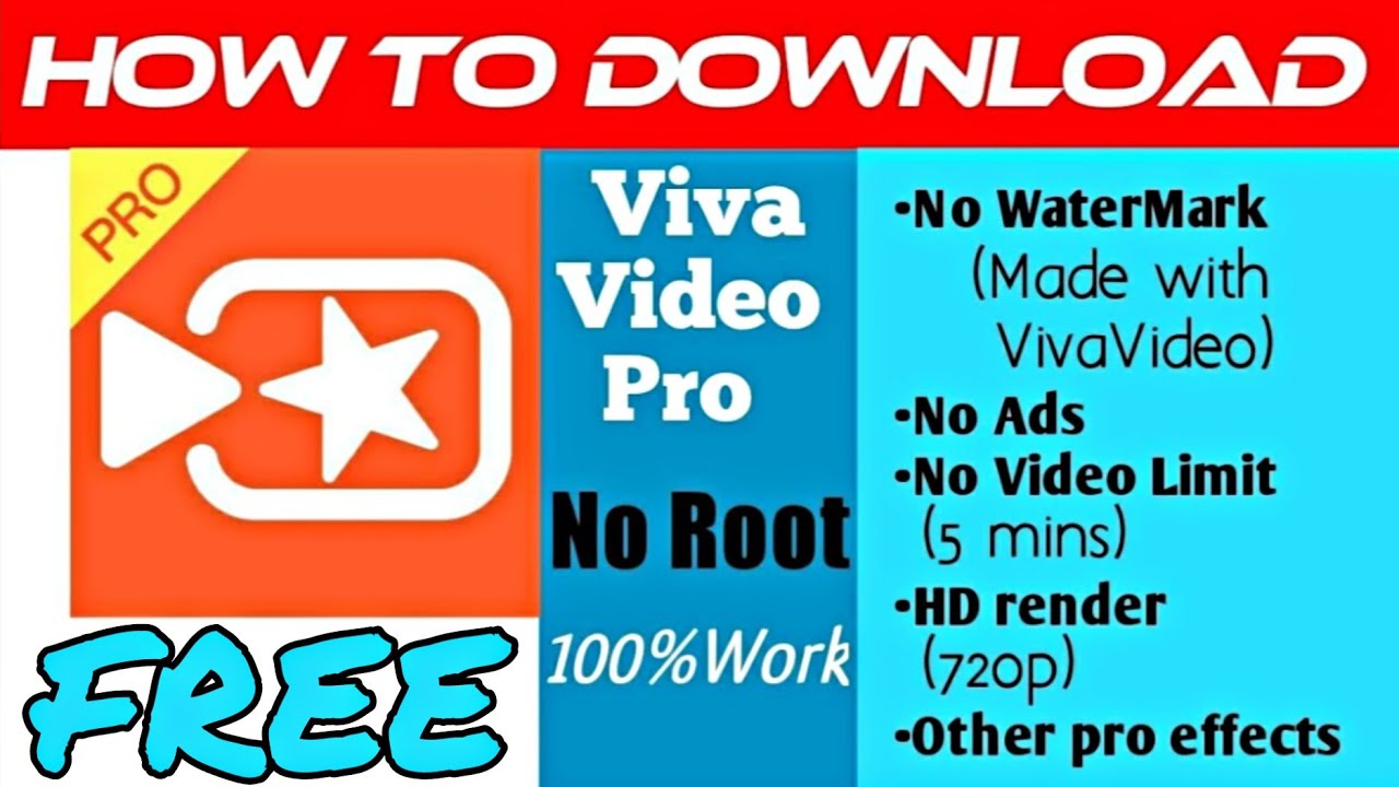 difference between viva video and viva video pro