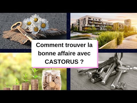 En quoi consistent les services offerts par Castorus ?